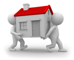 Domestic Move